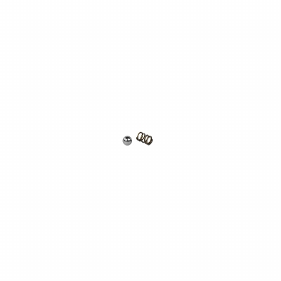 Bearing Ball and Spring (20pcs)
