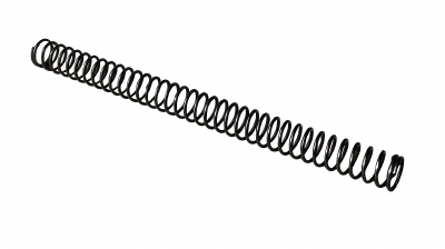ICP Cylinder Housing Spring (10pcs)