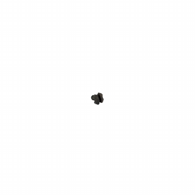 PM2 Grip Screw (10pcs)