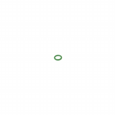 Inner Barrel O-ring (20pcs)