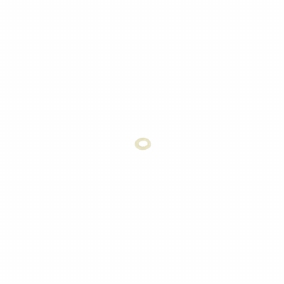 PM2 Firing Pin O-Ring (20pcs)