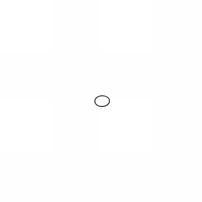 PM2 Cylinder Cover O-Ring (20pcs)