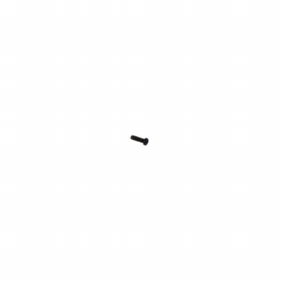 PM2 Frame Screw (20pcs)