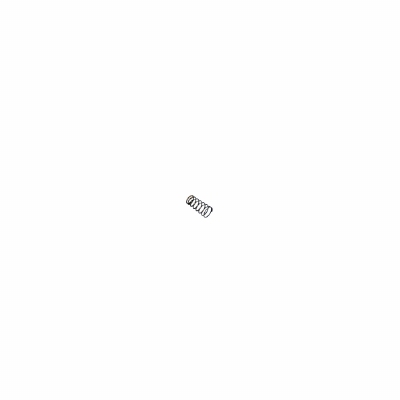 PM2 Magazine Catch Spring (10pcs)