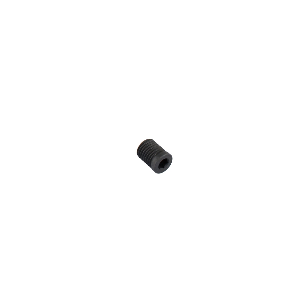 PM2 Cylinder Housing Screw (5pcs)