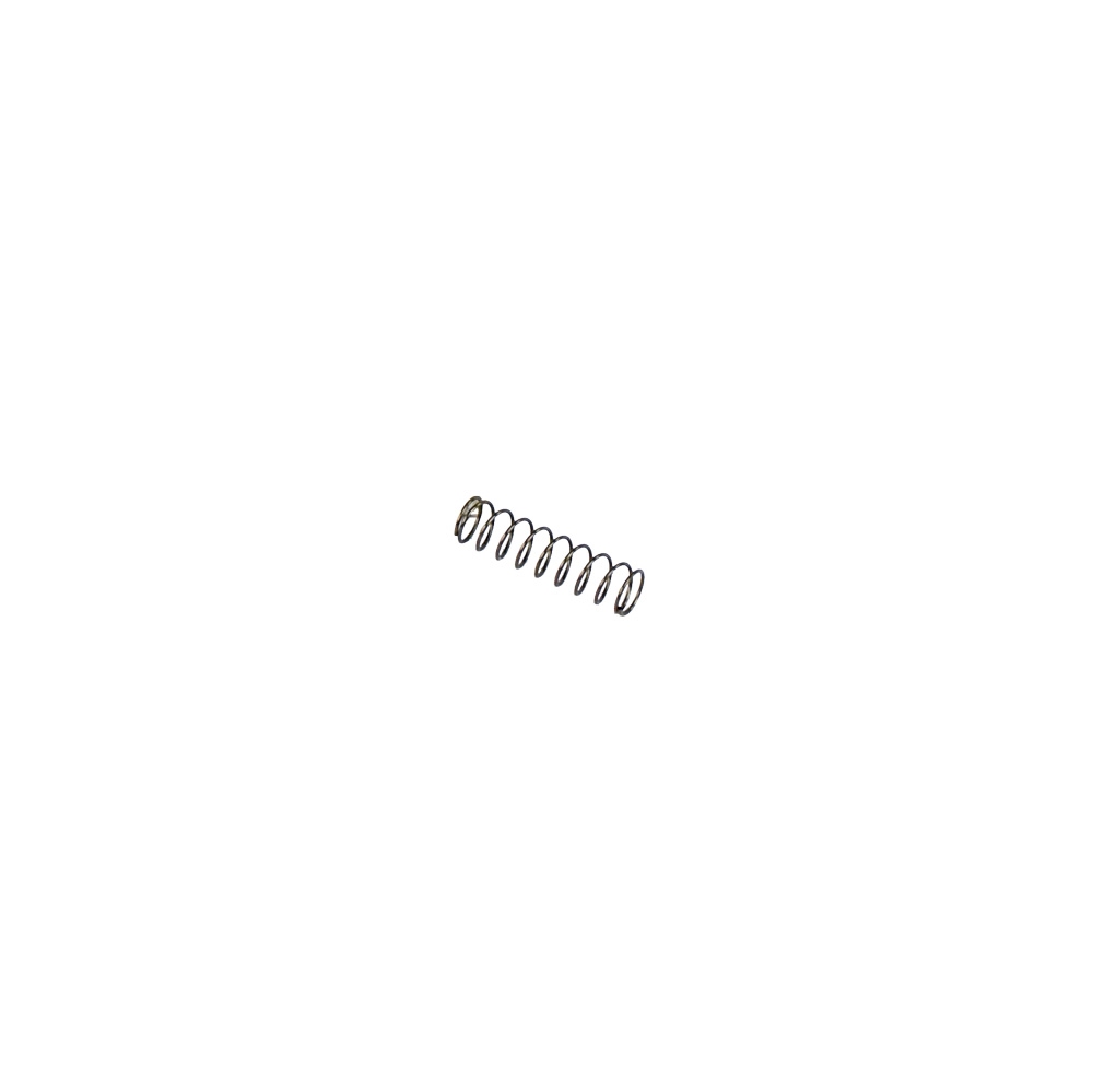 PM2 Firing Pin Spring (10pcs)