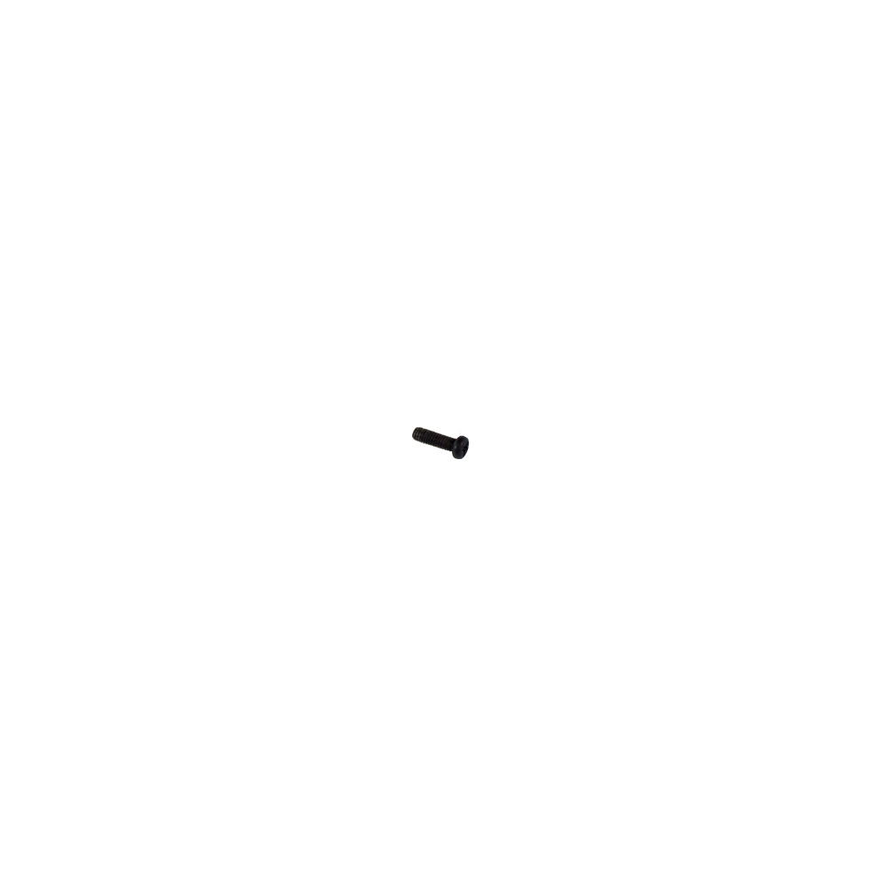 PM2 Frame Screw (20pcs)