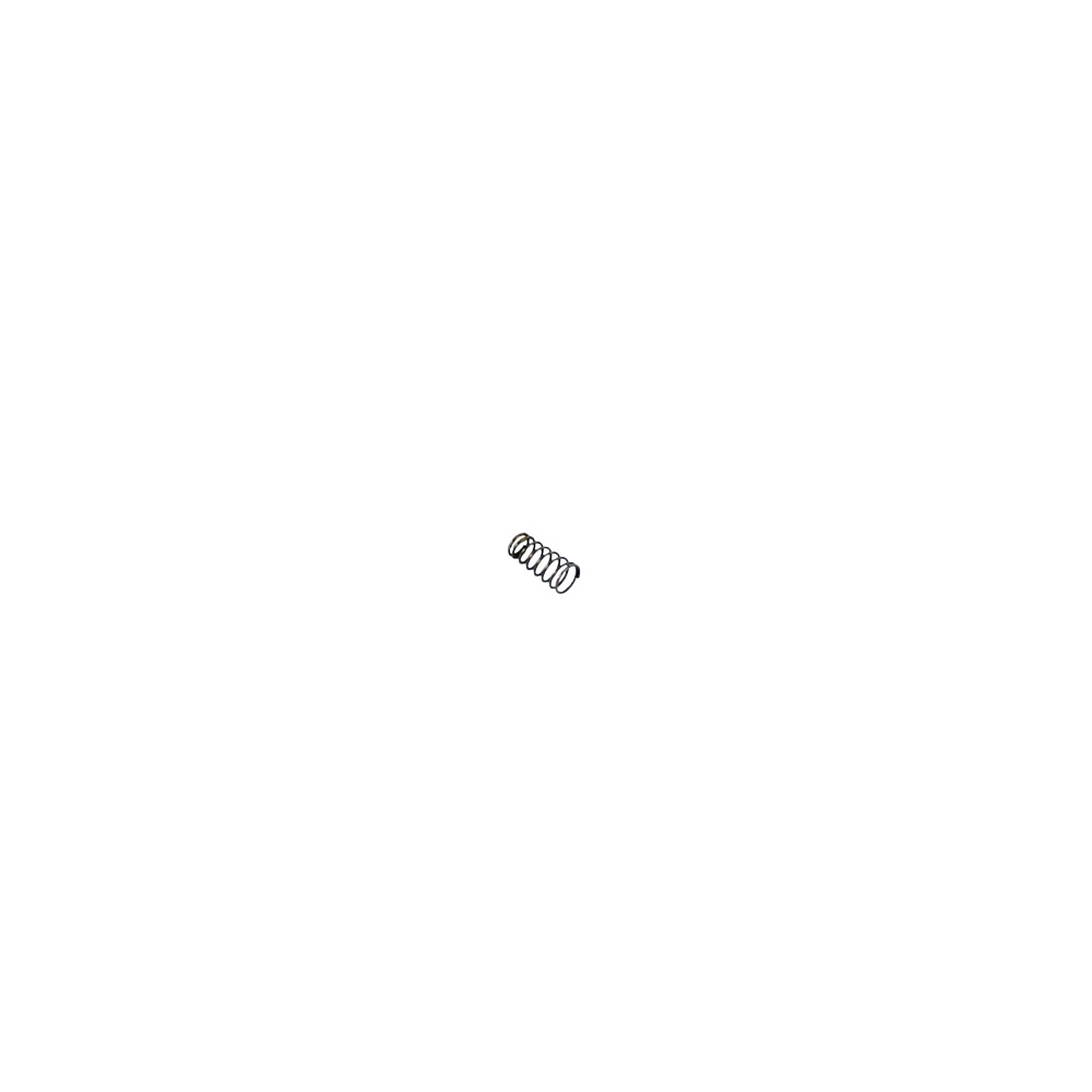 PM2 Magazine Catch Spring (10pcs)