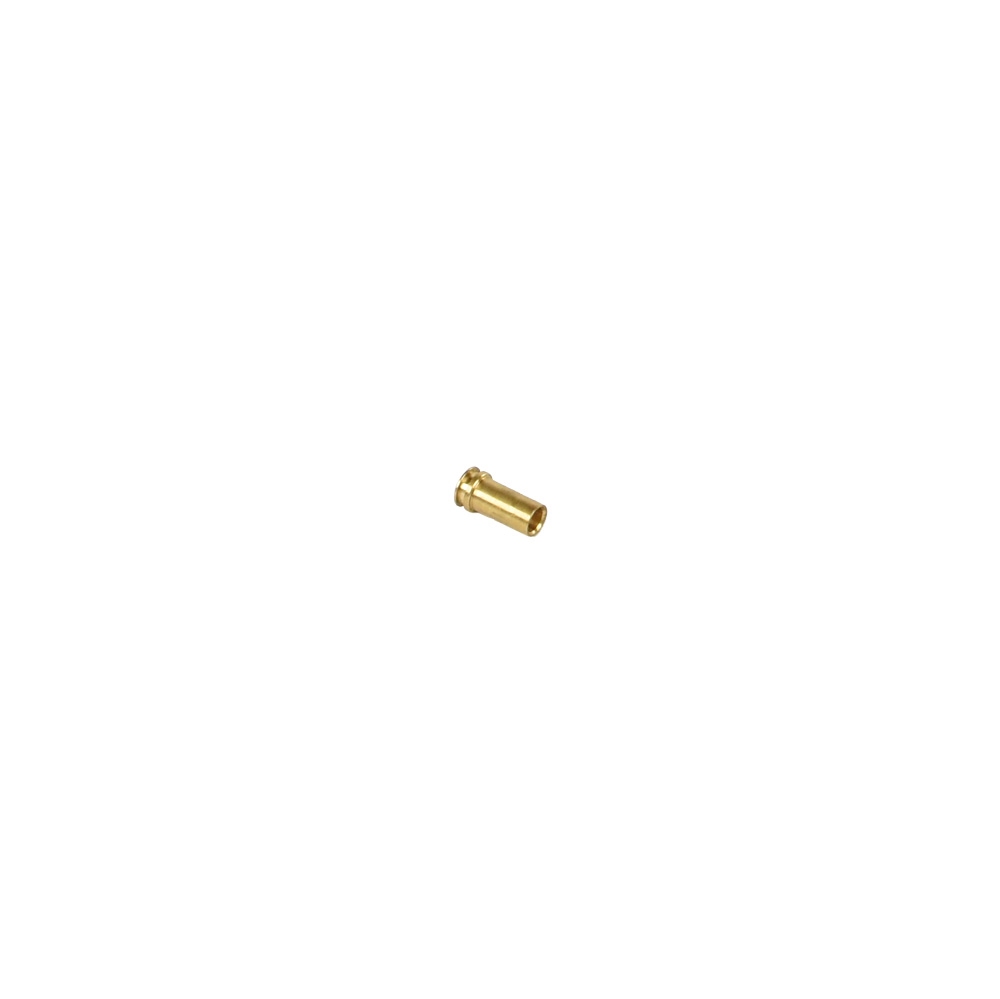PM2 Nozzle (10pcs)