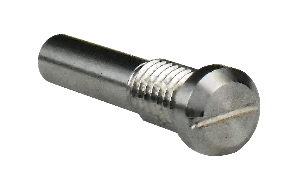 Vulture Slide Stop Screw (1 pcs)