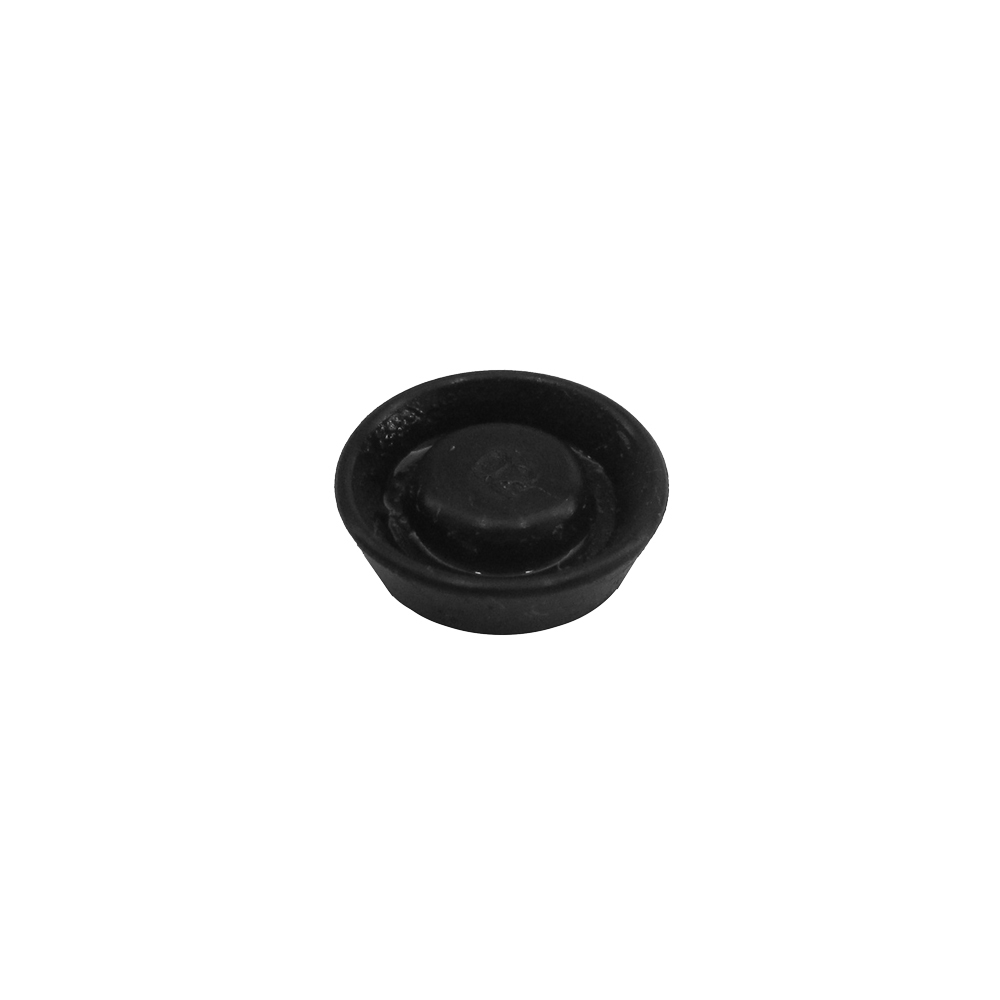 XAE Valve Plate (10pcs)