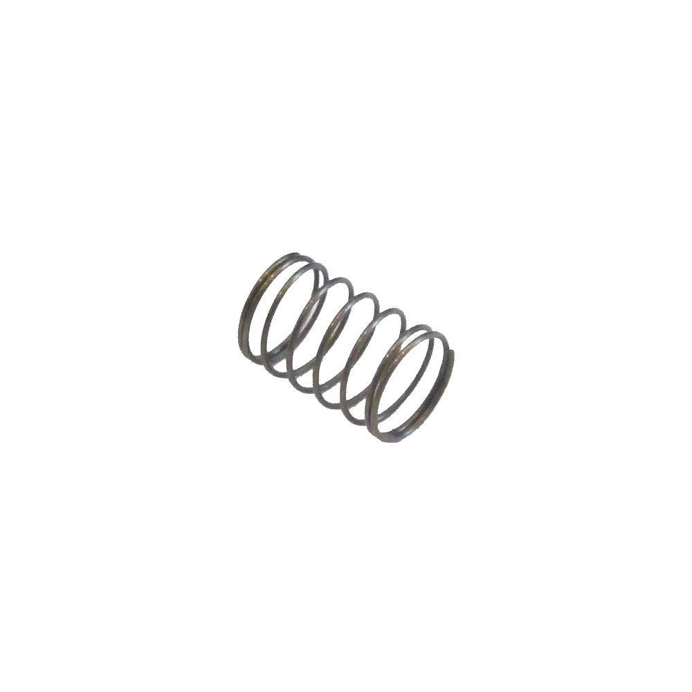 XAE Valve Spring (10pcs)